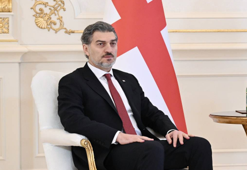 Gürcüstan Prezidenti ilk xarici səfərini Azərbaycana etdi