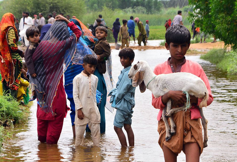 Pakistanda yağışlar nəticəsində ölənlərin sayı 1 200 nəfəri keçib